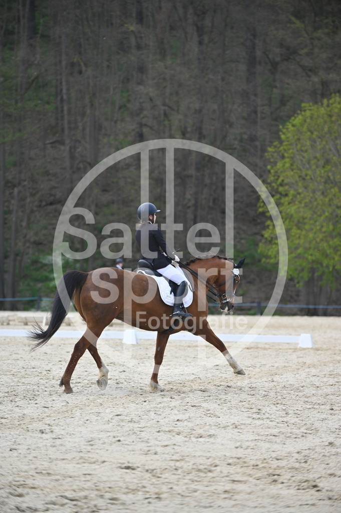 DSC_4823 | sattelsport - Realisiert mit Pictrs.com