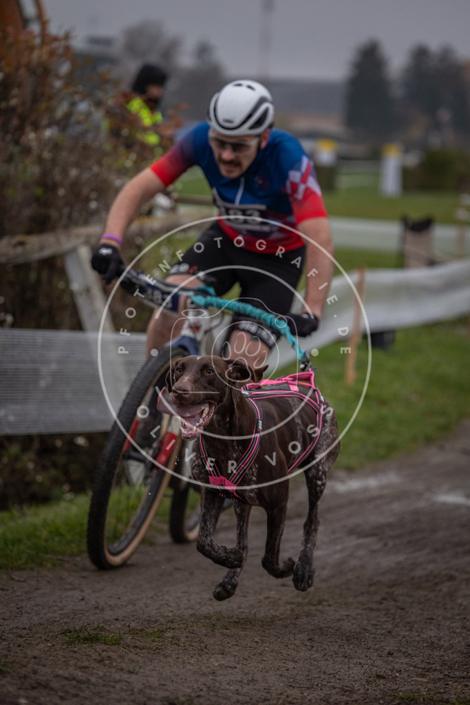 CaniXpix_0L8A1530 | Hundefotografie, Tierfotograf, Pfotenfotografie, Fotoshooting Hund, Hunde Portrait, Hundesport, Hundeportraits, Heideshooting, Hunde, Sportfotograf, Hundefotograf, Turnierhundsport, THS,  - Realisiert mit Pictrs.com