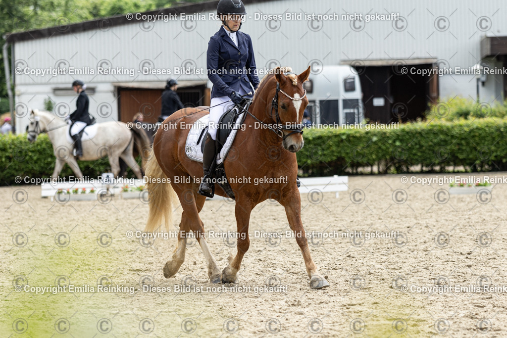 CL5A7696 | Emilia Reinking Fotografie - Realisiert mit Pictrs.com