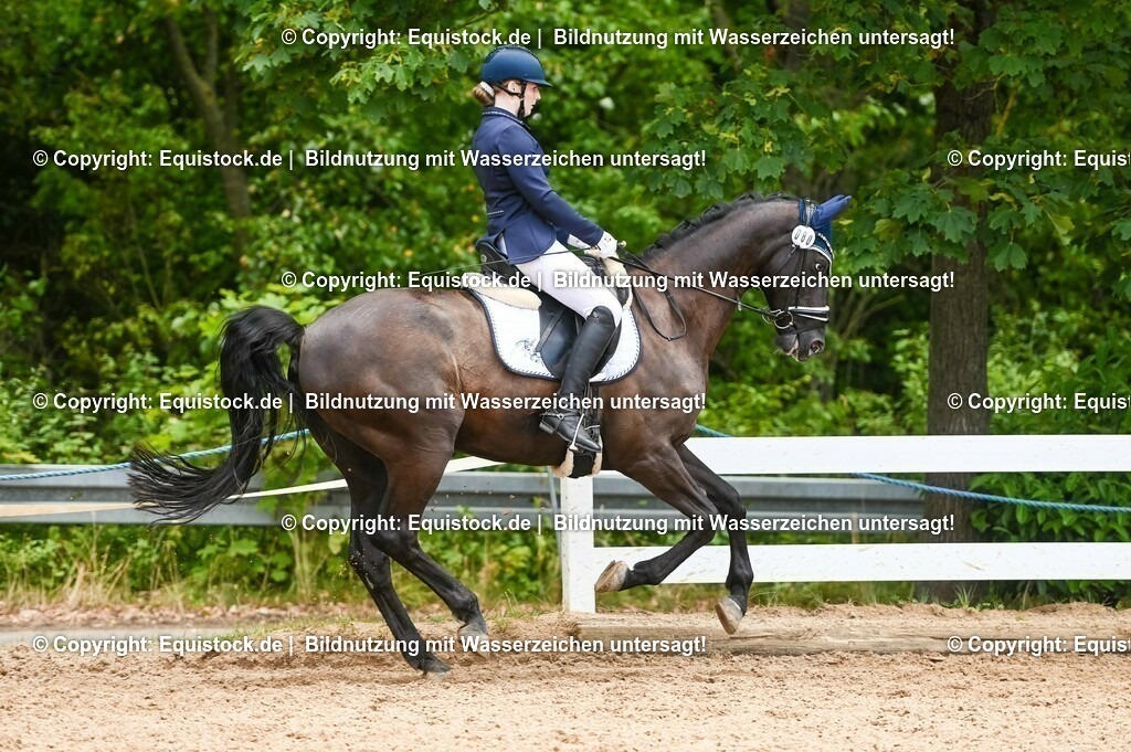 20230716_03_Dressurprfg. Kl.L - Tr._0637 | equistock