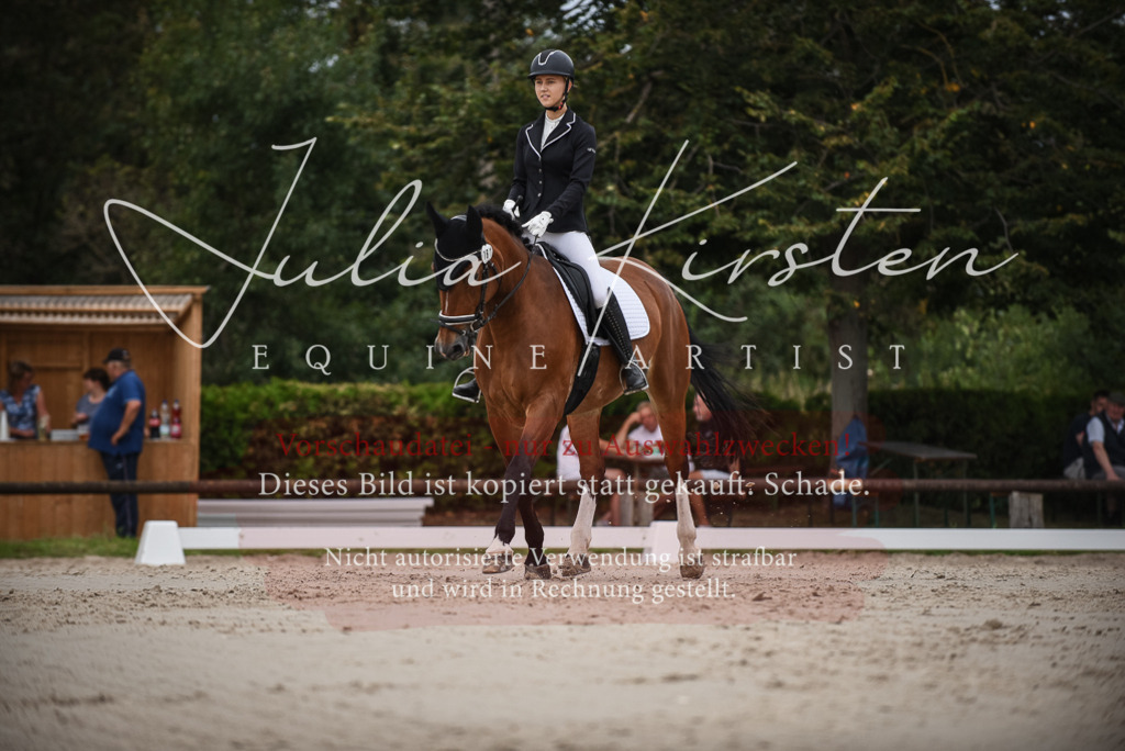 DSC_8254 | Pferde- und Turnierfotografie in Westsachsen. Pferdeportraits, Auftragszeichnungen und intuitive Kunst.