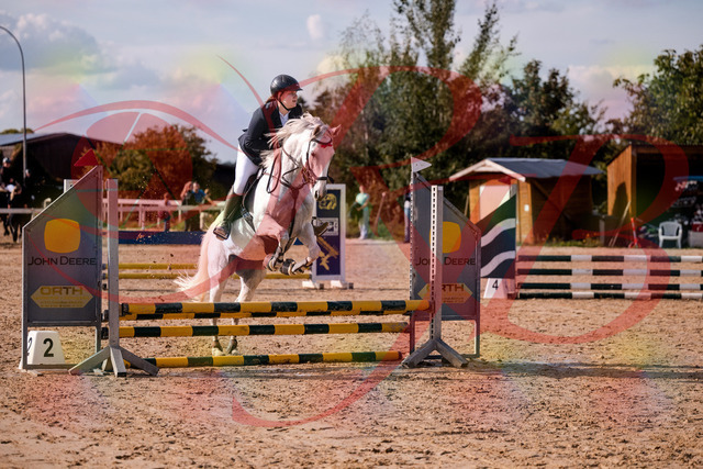 2026_10_03_Siefer-Hof_153926_Z81_54409506 | Professionelle Reitsport-, Turnier- und Eventfotografie von Robert Broda. Galerien mit ausgewählten und bearbeiteten Bildern direkt online ansehen und bestellen.