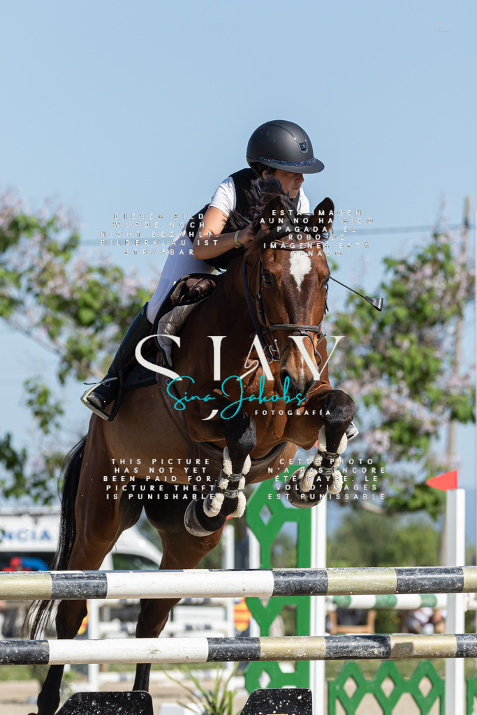 IMG_0953 | s-jay-photography - Realisiert mit Pictrs.com