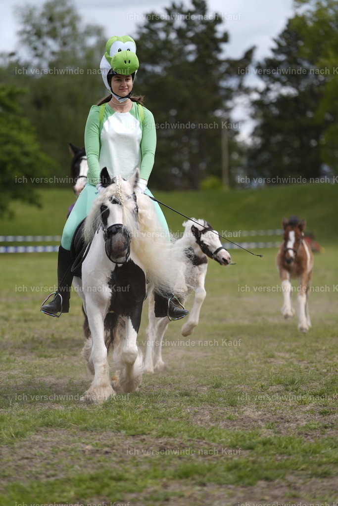 PI26_Show_BTS_StoibphotographyPI26_Show_BTS_Stoibph_DSC0893.JPG.JPG | working equitationturnier fotograf videograf stoibphotography marixx film working equitation deutschland reitsport turnierfotografie eventfotografie equestrian events
