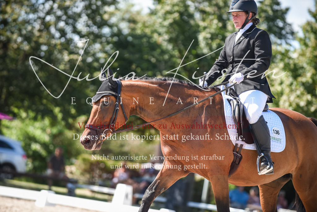 DSC_9657 | Pferde- und Turnierfotografie in Westsachsen. Pferdeportraits, Auftragszeichnungen und intuitive Kunst.