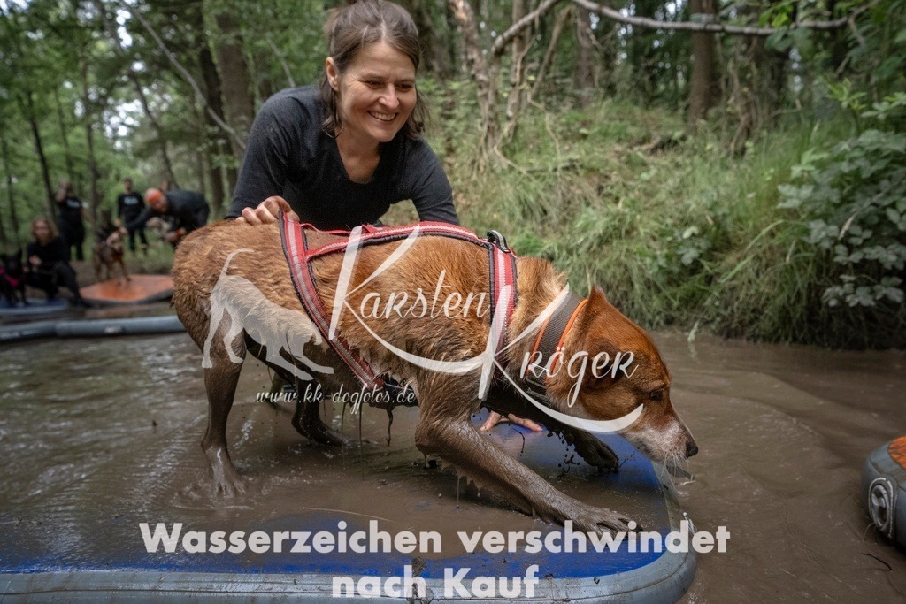 1222_ZZ98713T | kk-dogfotos