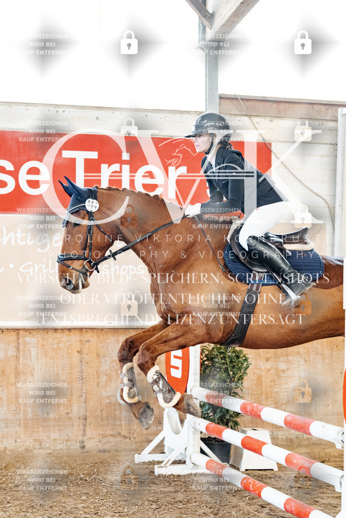 CK904070 | Turnierfotografie Pferdefotografie Trier Rheinland-Pfalz Pferdesport Reitsport Tierfotografie Sportfotografie Pferdevideo Pferdevideografie Equestrianvideography equestrianphotography  - Realisiert mit Pictrs.com