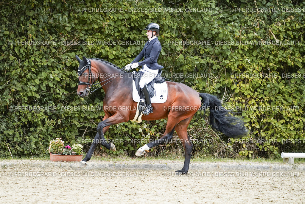 DSC07283 | Pferdegrafie