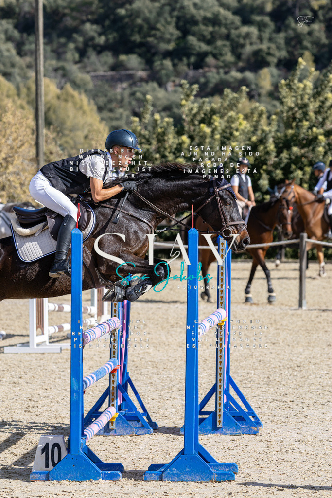 IMG_0406 | s-jay-photography - Realisiert mit Pictrs.com