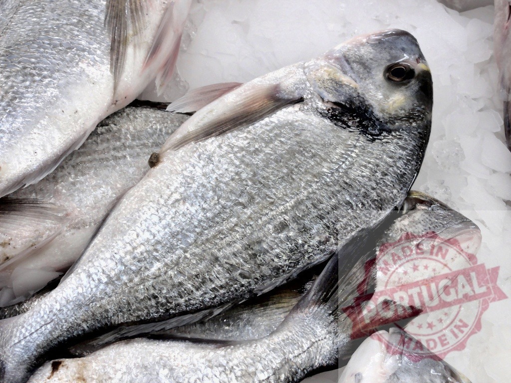 Fresh sea bream fish displaying on crushed ice | Freshly caught sea bream fish displaying on crushed ice at a seafood market - Realisiert mit Pictrs.com