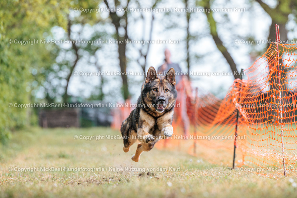 Sage Hunderennen Frühlingsfest-2026-Nickbest-Hundefotografie-0195 | Dein Hund! Dein Moment! Deine Erinnerungen! Hundefotografie in Bremen Blumenthal. Ich fange die besonderen Momente deines Vierbeiners ein – ob Indoor mit Blitzanlage oder in der freien Natur. Sicher dir dein Moment und dein Termin für eure Erinnerungen.