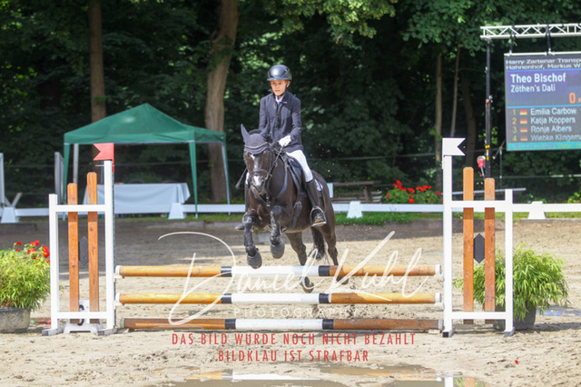 DKP44646 | Turniersportfotografie; Pferdefotografie; Dressurfotografie