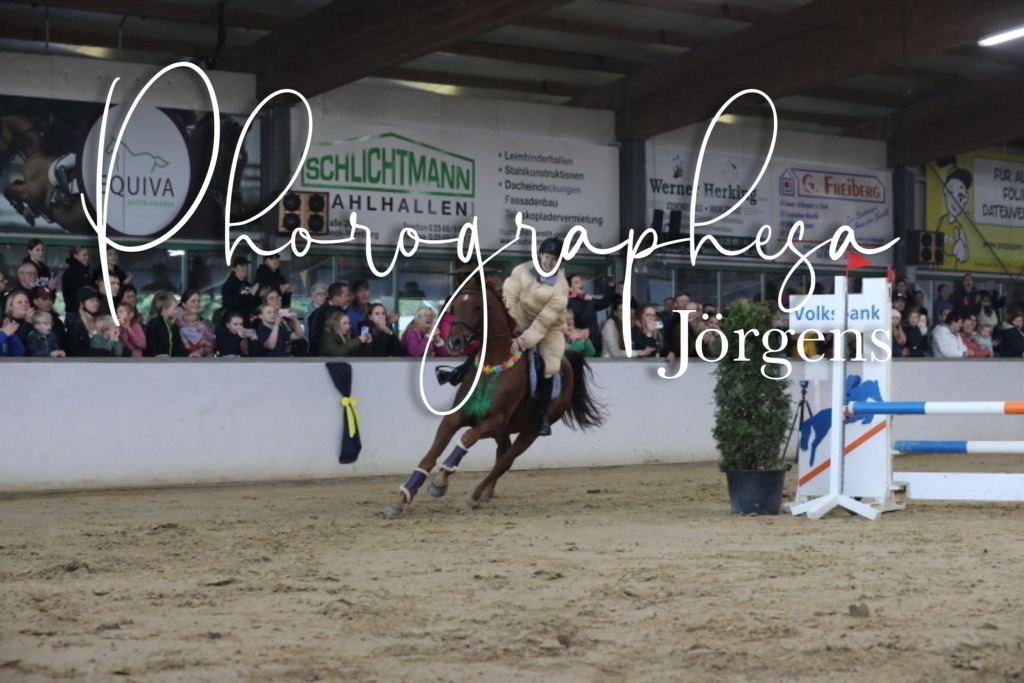 IMG_1905 | photographesa-joergens - Realisiert mit Pictrs.com