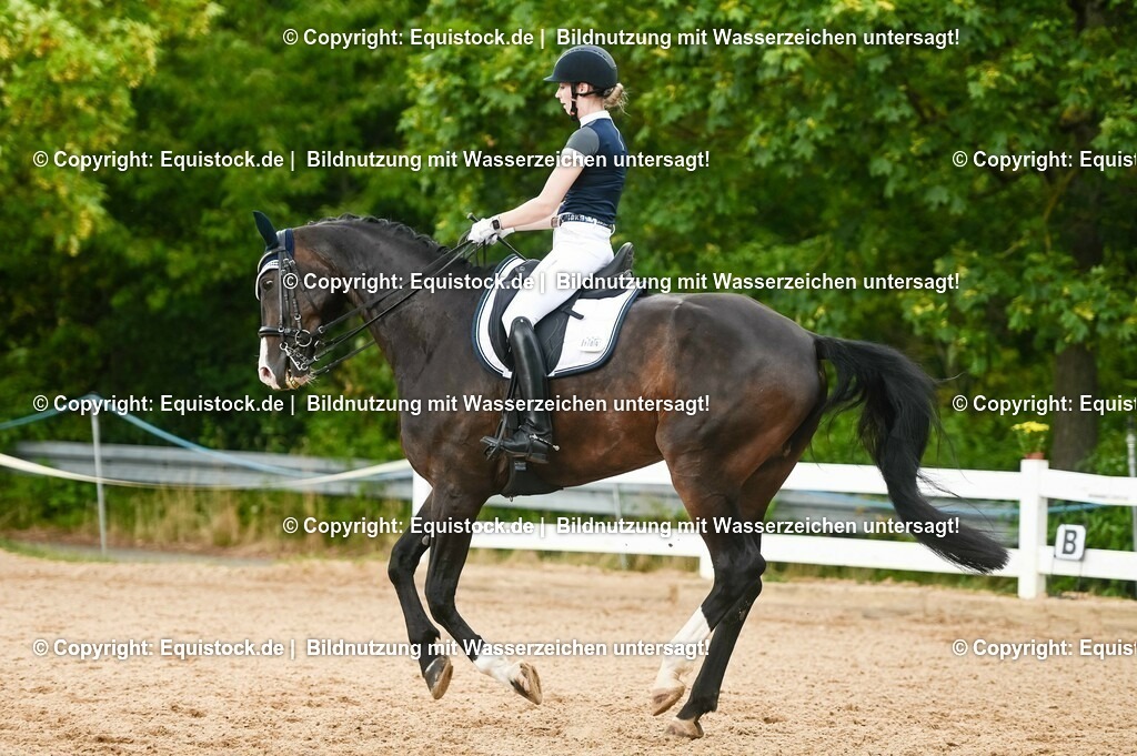 20230716_01_Dressurprüfung Kl.M_0494 | equistock