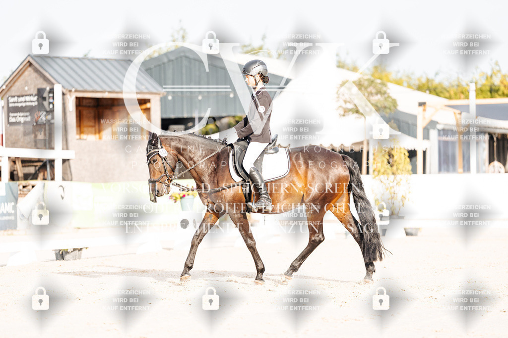 CK903858 | Turnierfotografie Pferdefotografie Trier Rheinland-Pfalz Pferdesport Reitsport Tierfotografie Sportfotografie Pferdevideo Pferdevideografie Equestrianvideography equestrianphotography  - Realisiert mit Pictrs.com