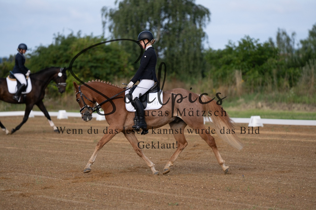 A7V03653 | Pferdefotograf