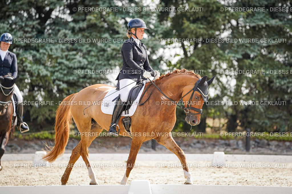 DSC06915 | Pferdegrafie