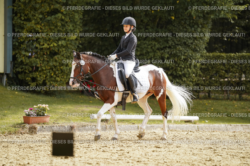 DSC01264 | Pferdegrafie