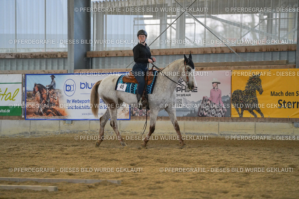 DSC09077 | Pferdegrafie