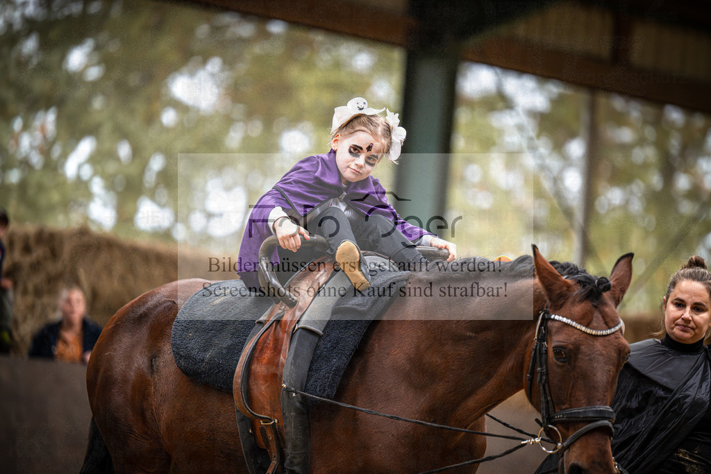 DOS_0103 | Entdecke hochwertige Reitturnierfotos von Foto Oger. Professionell, emotional und authentisch – jetzt Lieblingsmomente im Shop bestellen.Deutschlandweite Turnierfotografie. - Realisiert mit Pictrs.com