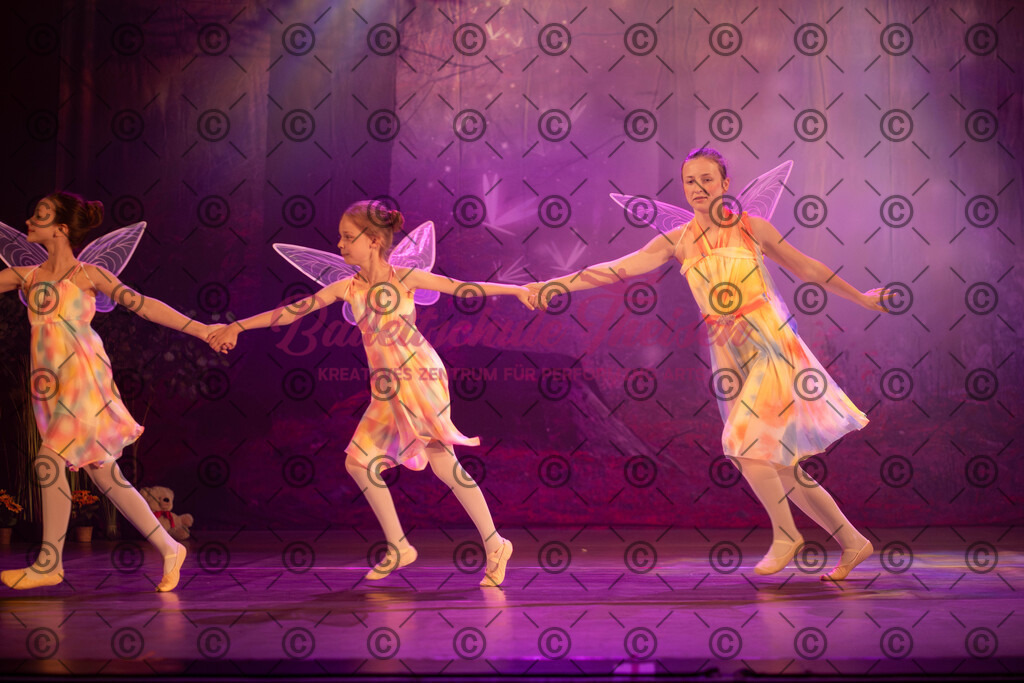 Ballettaufführung-1348 | Bildershop Lem'n Entertainment - Realisiert mit Pictrs.com