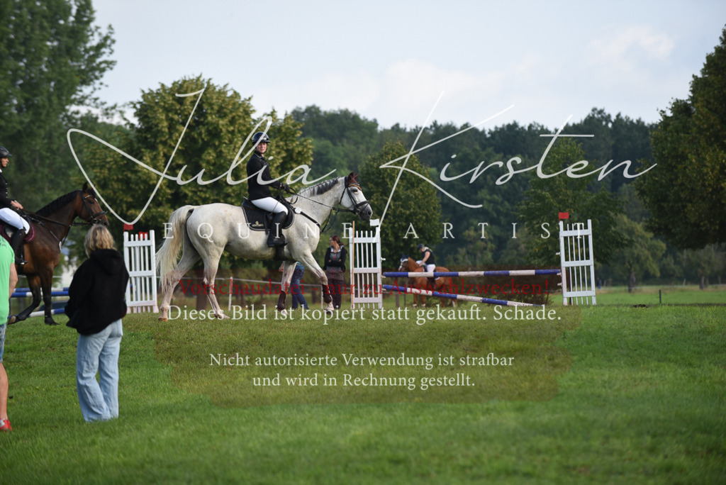 DSC_8565 | Pferde- und Turnierfotografie in Westsachsen. Pferdeportraits, Auftragszeichnungen und intuitive Kunst.