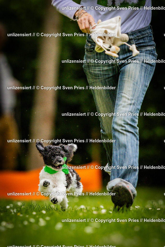 Sven Pries | 2025-05-29 - Pudelrennen KA-Durlach - Realisiert mit Pictrs.com