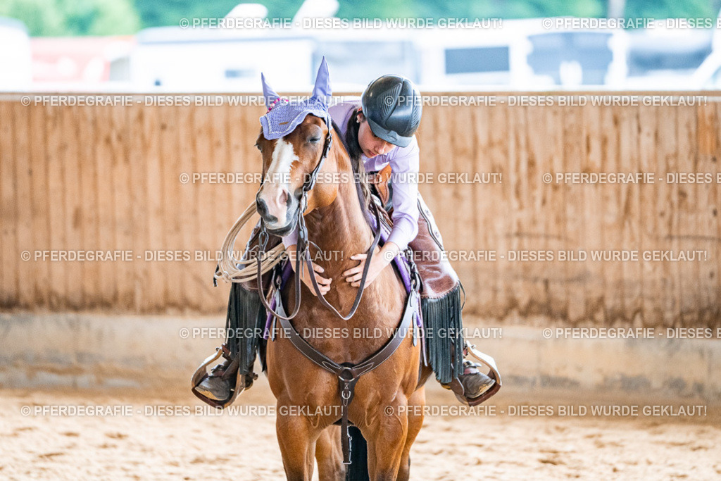 DSC09551 | Pferdegrafie