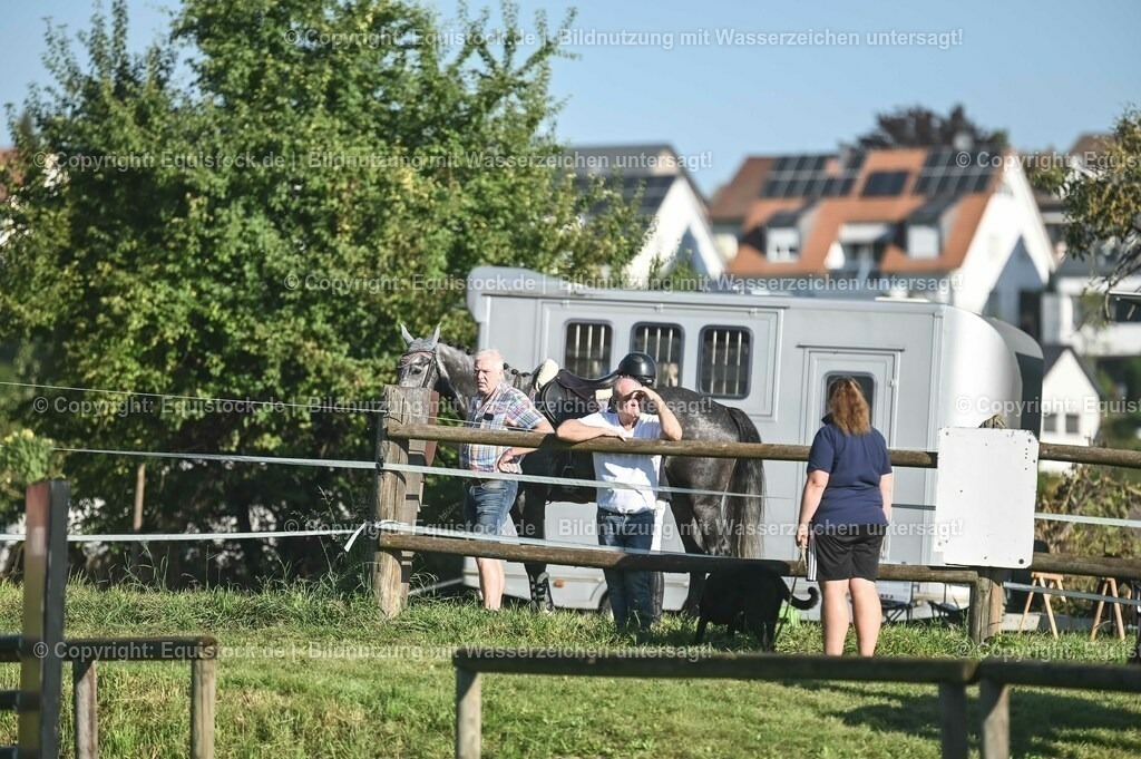 20230908_14-15_Springpferde-A_0054 | equistock