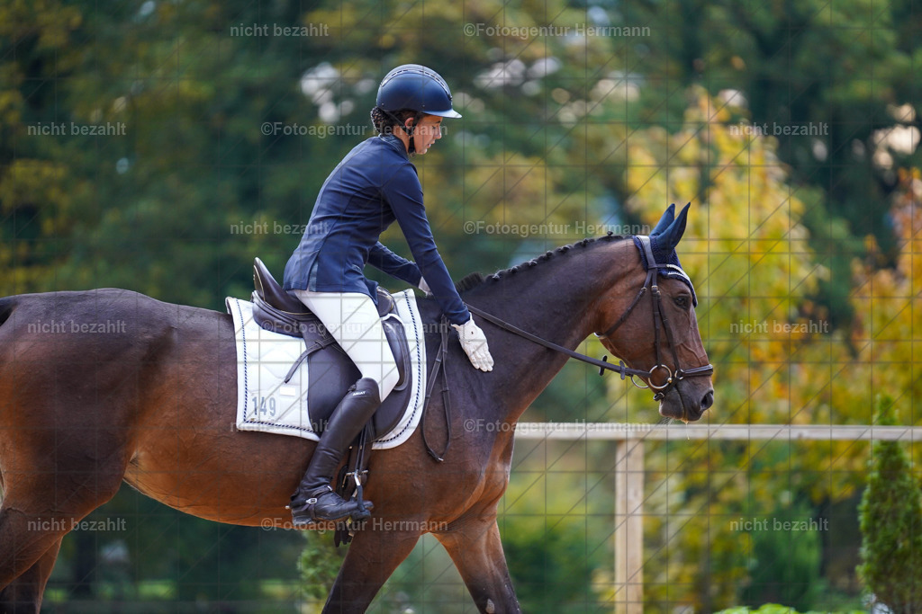 20221008-FAH00719 | Diessen am Ammersee, 2022, Dressur- und Springturnier, Reitsportbilder, Turnierfotografen Bayern, Pferdefotografen, Fotoagentur Herrmann, Turnierbilder