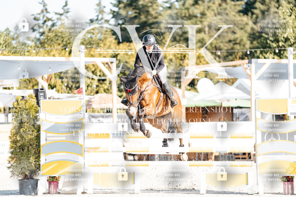 CK901620 | Turnierfotografie Pferdefotografie Trier Rheinland-Pfalz Pferdesport Reitsport Tierfotografie Sportfotografie Pferdevideo Pferdevideografie Equestrianvideography equestrianphotography  - Realisiert mit Pictrs.com