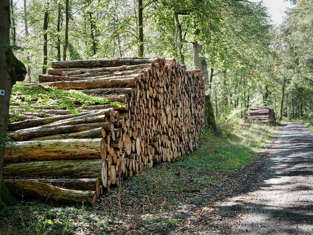 P1000298 | Stockfotos, Fotos mit Miniaturfiguren und kreativen Ideen. Dabei auch vieles aus der Metropolregion Rhein-Neckar. 