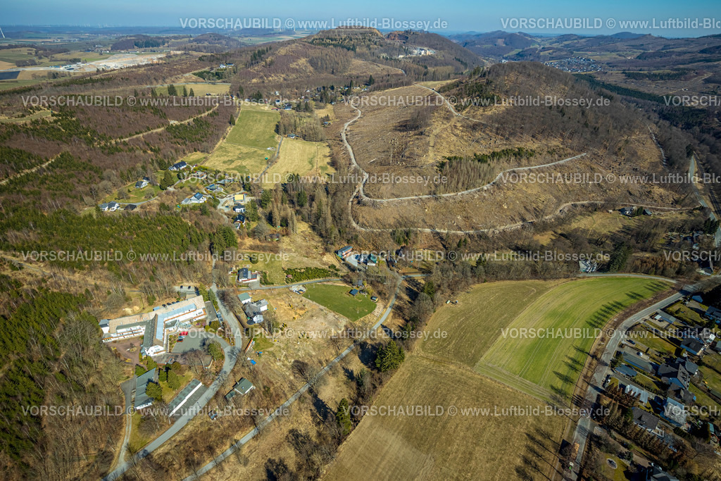 Brilon220303377 | Luftbild, Kursanatorium Hochsauerland Haus der Kriegsblinden am Waldgebiet mit Waldschäden, Gudenhagen, Brilon, Sauerland, Nordrhein-Westfalen, Deutschland