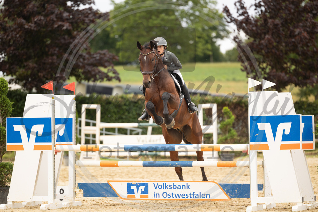 994A9003 | sabrinanicolaifotografie - Realisiert mit Pictrs.com