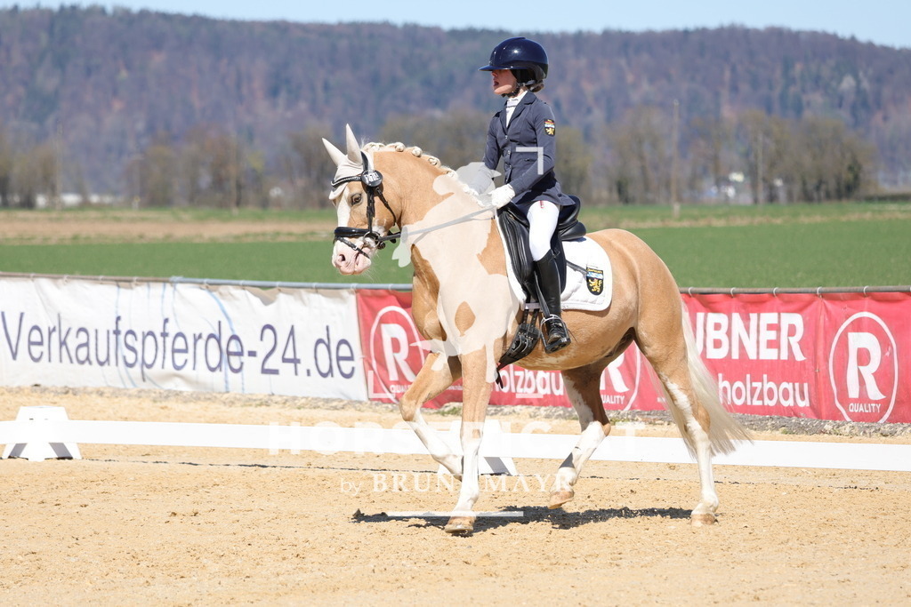 0P6A7573 | Willkommen bei Brunnmayr - Design & Fotografie – Ihrem Spezialisten für Reitturniere und Pferdeveranstaltungen in Oberösterreich, Salzburg und Bayern! Seit über 17 Jahren sind wir leidenschaftlich dabei.