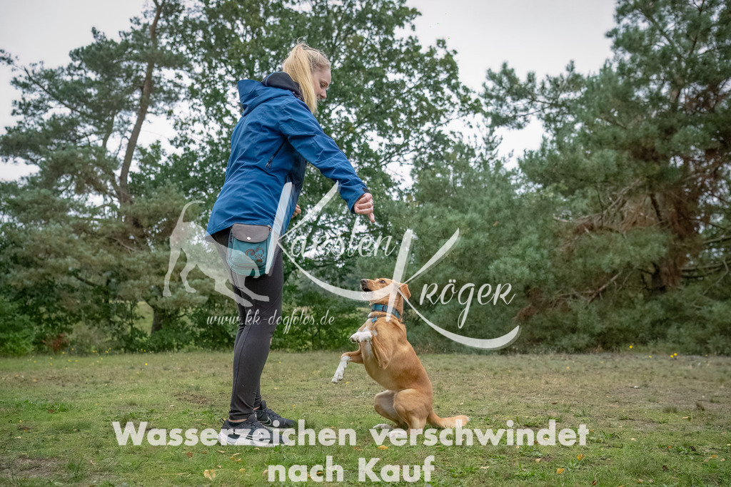 1517_ZZ94763-2-Bearbeitet | kk-dogfotos