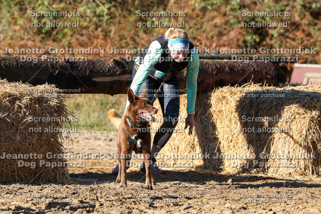 Dog Paparazzi - Strongdog 10-25-1461 | Dog Paparazzi Jeanette Grottendiek Fotografie & Videografie - Realisiert mit Pictrs.com