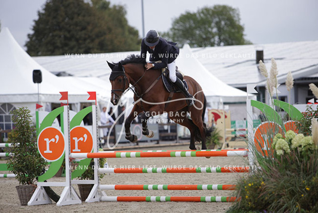 1J2A9017Jordi Sander_ Kracher 3_ Kn607_ Havekost | Foto- und Videografie für alles rund ums Pferd. Hochwertige Bilder und Videos vom Spring- und Dressurreiten, Voltigieren & mehr. Jetzt aktuelle Veranstaltungen und Preise im Shop ansehen. - Realisiert mit Pictrs.com
