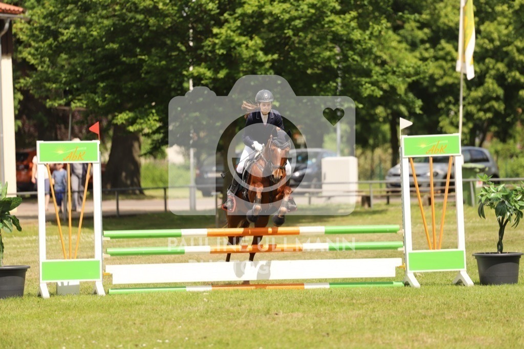 IMG_7503 | Pauline Ullmann Photography - Realisiert mit Pictrs.com