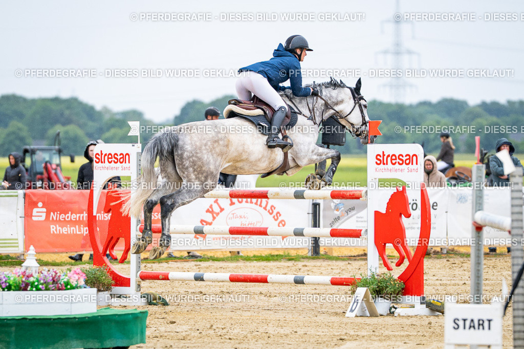 DSC08209 | Pferdegrafie