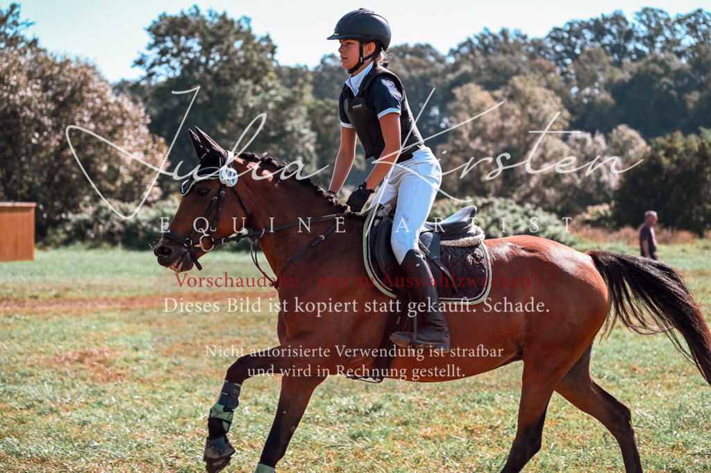 DSC_0960 | Pferde- und Turnierfotografie in Westsachsen. Pferdeportraits, Auftragszeichnungen und intuitive Kunst.
