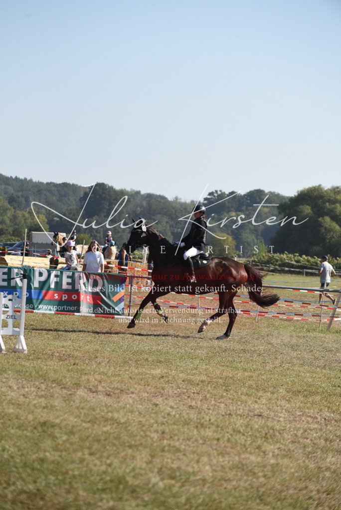 DSC_6005 | Pferde- und Turnierfotografie in Westsachsen. Pferdeportraits, Auftragszeichnungen und intuitive Kunst.