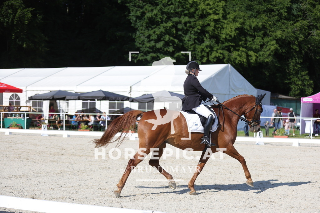 0P6A2602 | Willkommen bei Brunnmayr - Design & Fotografie – Ihrem Spezialisten für Reitturniere und Pferdeveranstaltungen in Oberösterreich, Salzburg und Bayern! Seit über 17 Jahren sind wir leidenschaftlich dabei.
