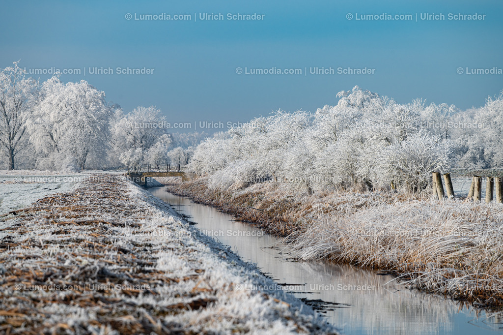10049-13478 - Winterzauber im Großen Bruch | Stockfoto und Bilderpool mit Bildmaterial aus Deutschland, dem Harz, Halberstadt, Quedlinburg, Wernigerode und weltweit. Qualitativ hochwertige und professionelle Fotos anschauen und kaufen. - Realisiert mit Pictrs.com