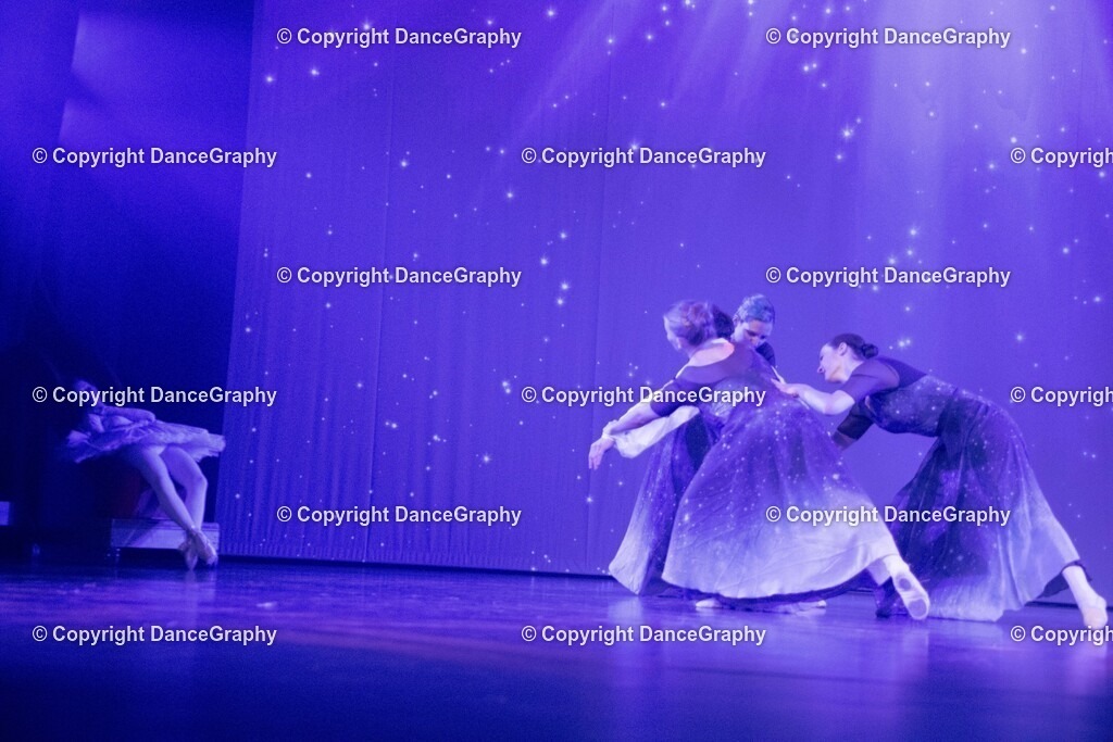 GPHY3397 | DanceGraphy - Realisiert mit Pictrs.com