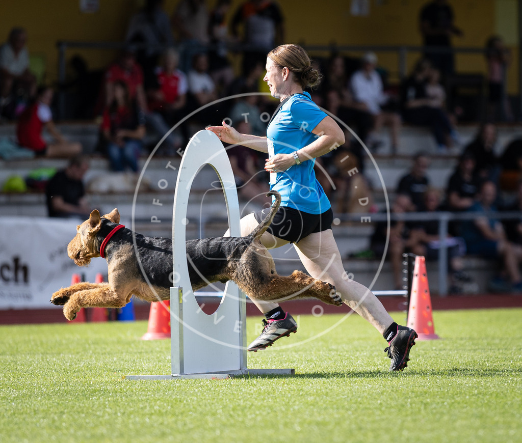 Pfotenfotografie_DV3A1974 | Hundefotografie, Tierfotograf, Pfotenfotografie, Fotoshooting Hund, Hunde Portrait, Hundesport, Hundeportraits, Heideshooting, Hunde, Sportfotograf, Hundefotograf, Turnierhundsport, THS,  - Realisiert mit Pictrs.com
