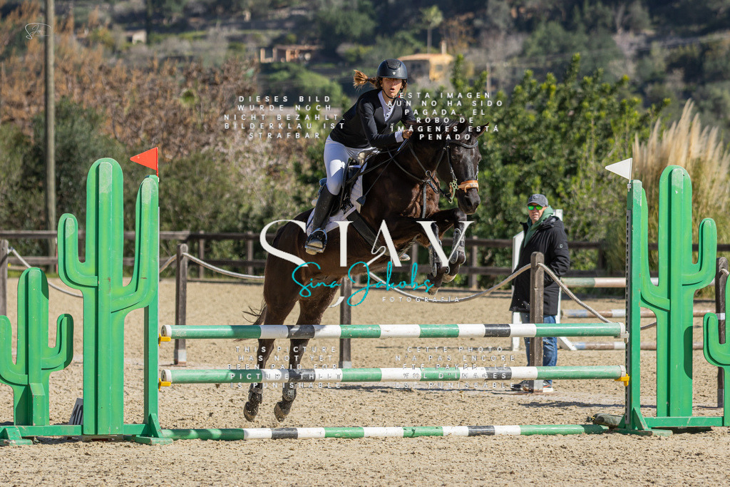 IMG_6248 | s-jay-photography - Realisiert mit Pictrs.com