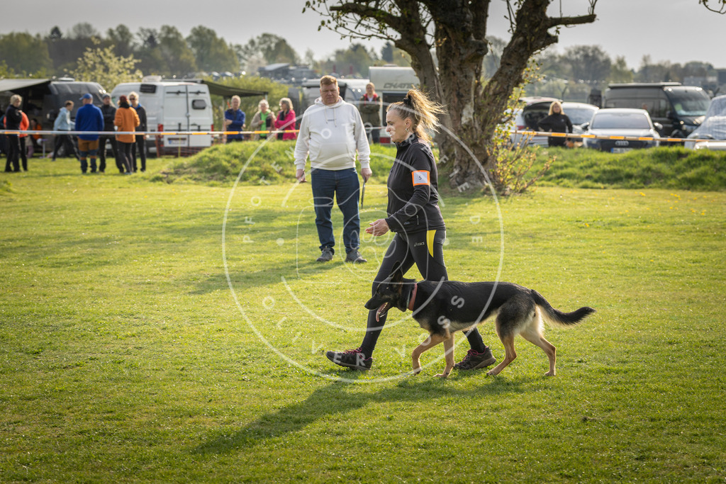 Pfotenfotografie_DV3A4814 | Hundefotografie, Tierfotograf, Pfotenfotografie, Fotoshooting Hund, Hunde Portrait, Hundesport, Hundeportraits, Heideshooting, Hunde, Sportfotograf, Hundefotograf, Turnierhundsport, THS,  - Realisiert mit Pictrs.com