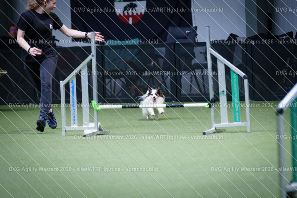 allesWIRTHgut_Tierfotografie-DVG_Agility_Masters_2026-12_19-7R502174 | Professionelle Tierfotografie in Mönchengladbach von Daniel Wirth (allesWIRTHgut). Liebevolle & natürliche Bilder von Hunden & Katzen für unvergessliche Erinnerungen.