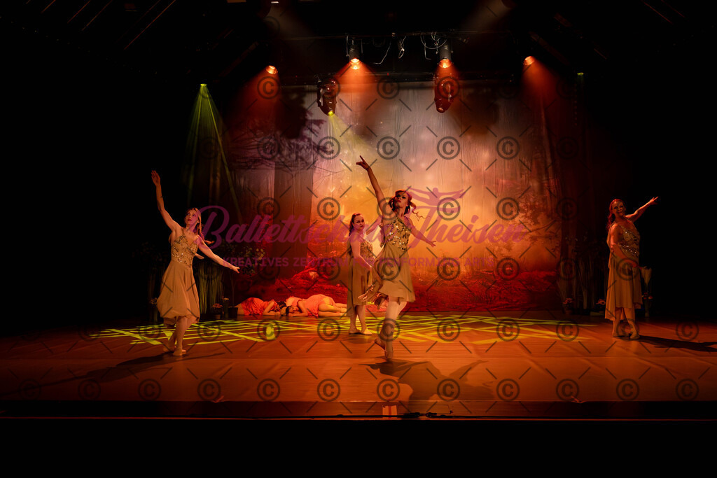 Ballettaufführung-552 | Bildershop Lem'n Entertainment - Realisiert mit Pictrs.com